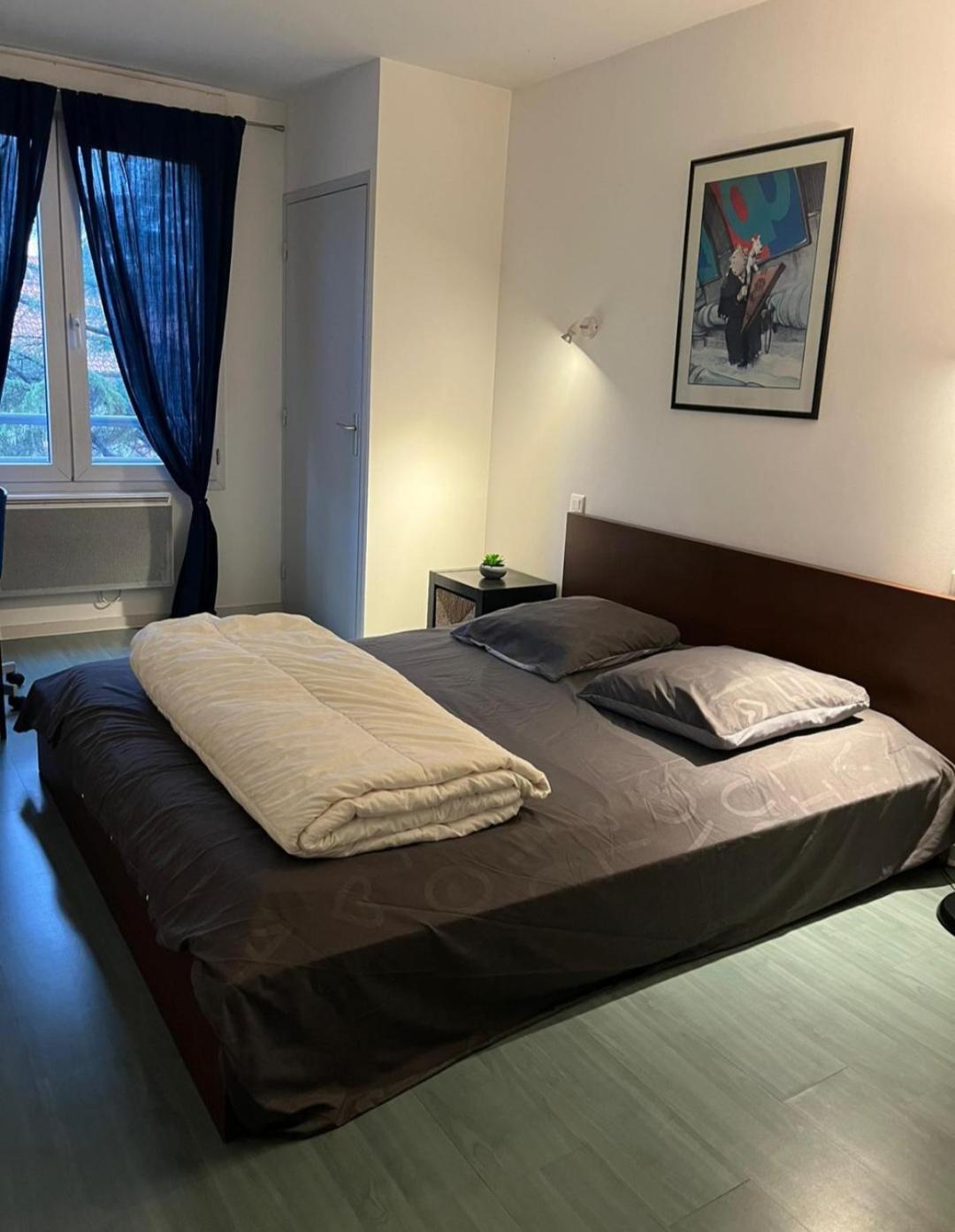 115 Rue Vauban Apartment Lyon Exterior photo